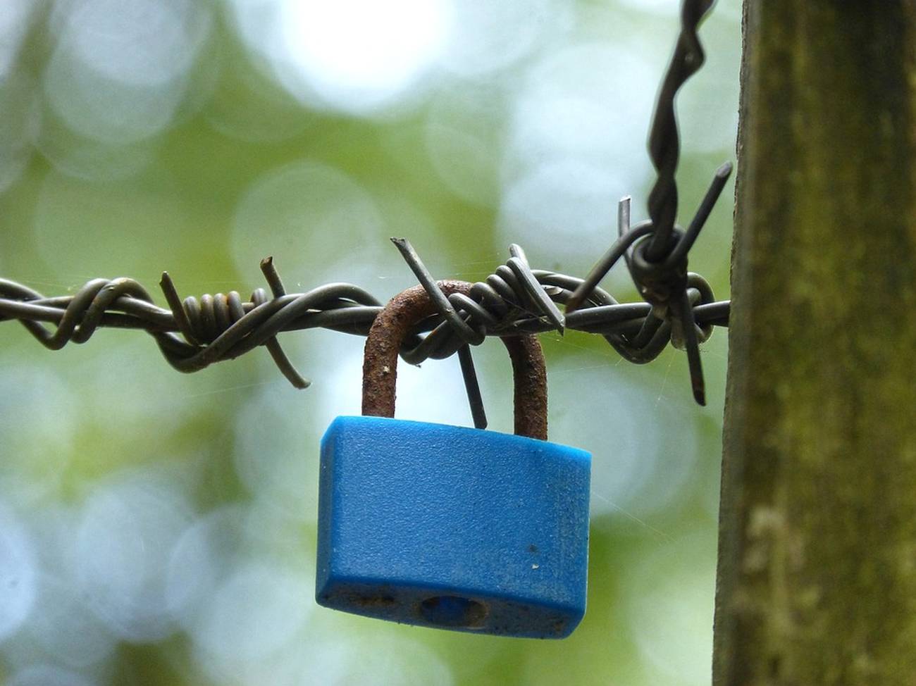 ¿Es realmente incompatible el capitalismo con la democracia?