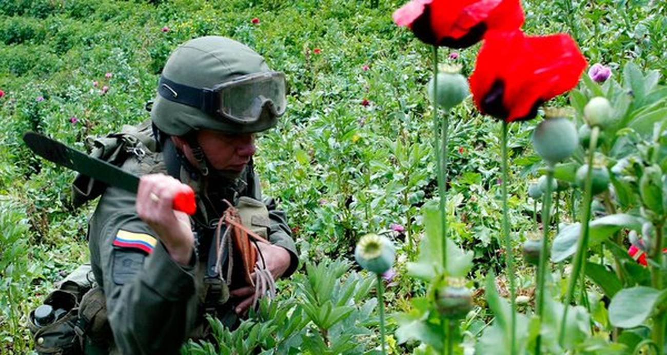 A política de drogas na América Latina: obstáculos e próximos passos