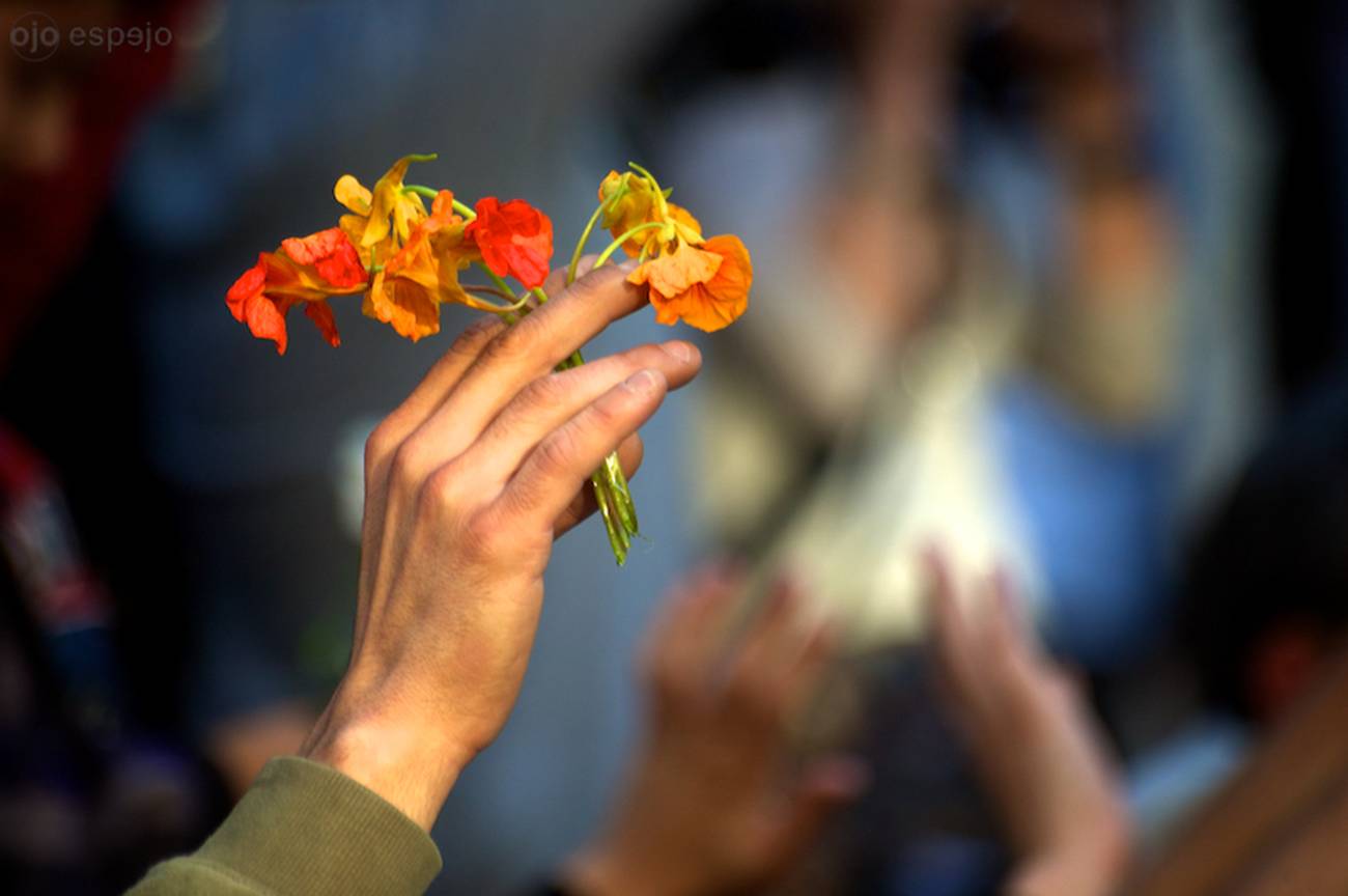 Sendas de la renovación  La idea de una forma de vida democrática