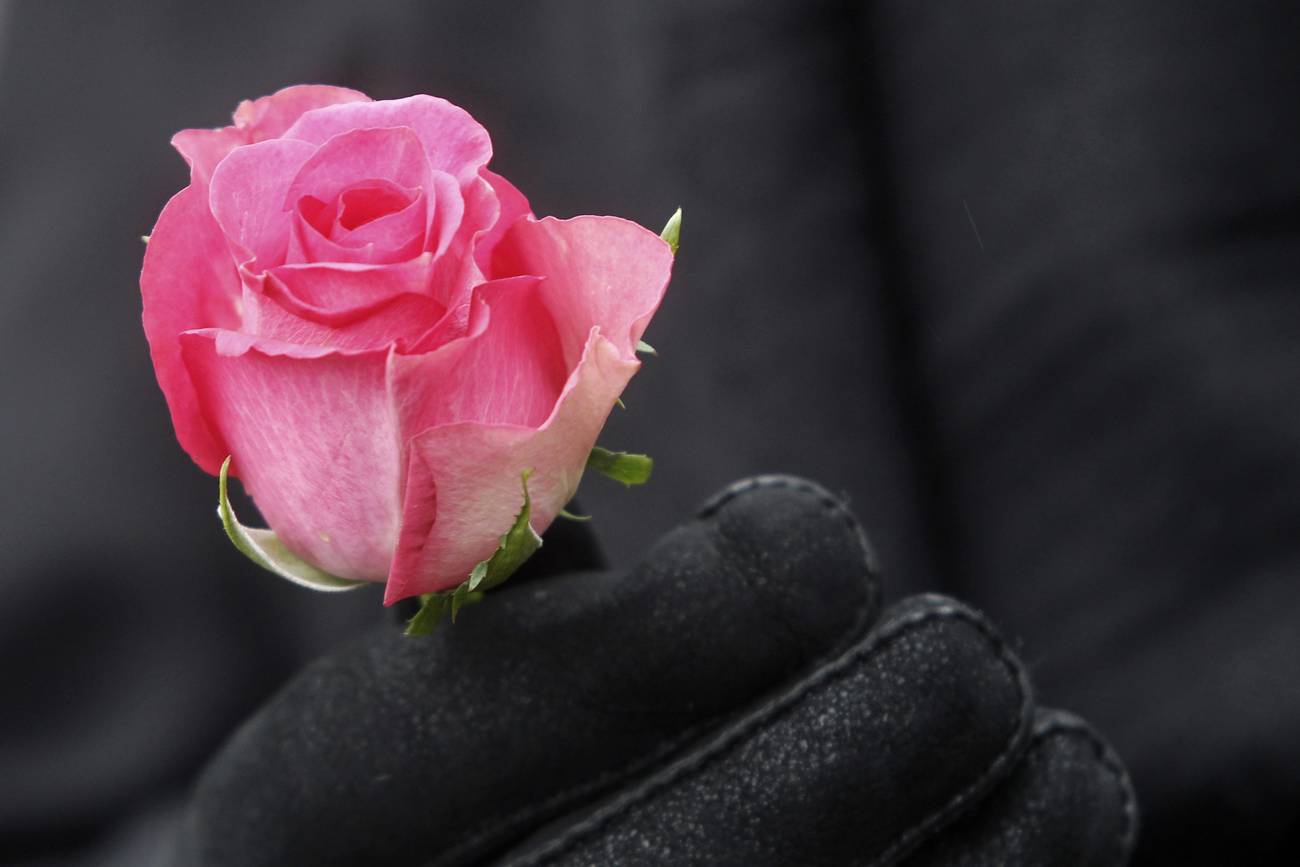 La encrucijada socialdemócrata  Entre la globalización y el Estado nacional