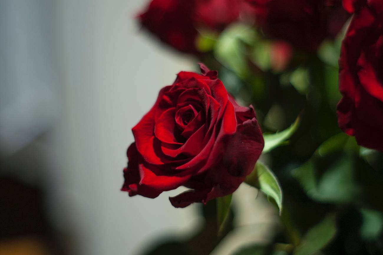 Desplazamientos: tres líneas de demarcación para los progresistas