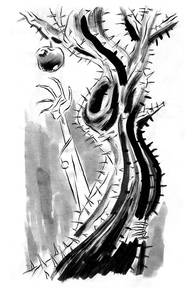 © Nueva Sociedad / Calvi 2012