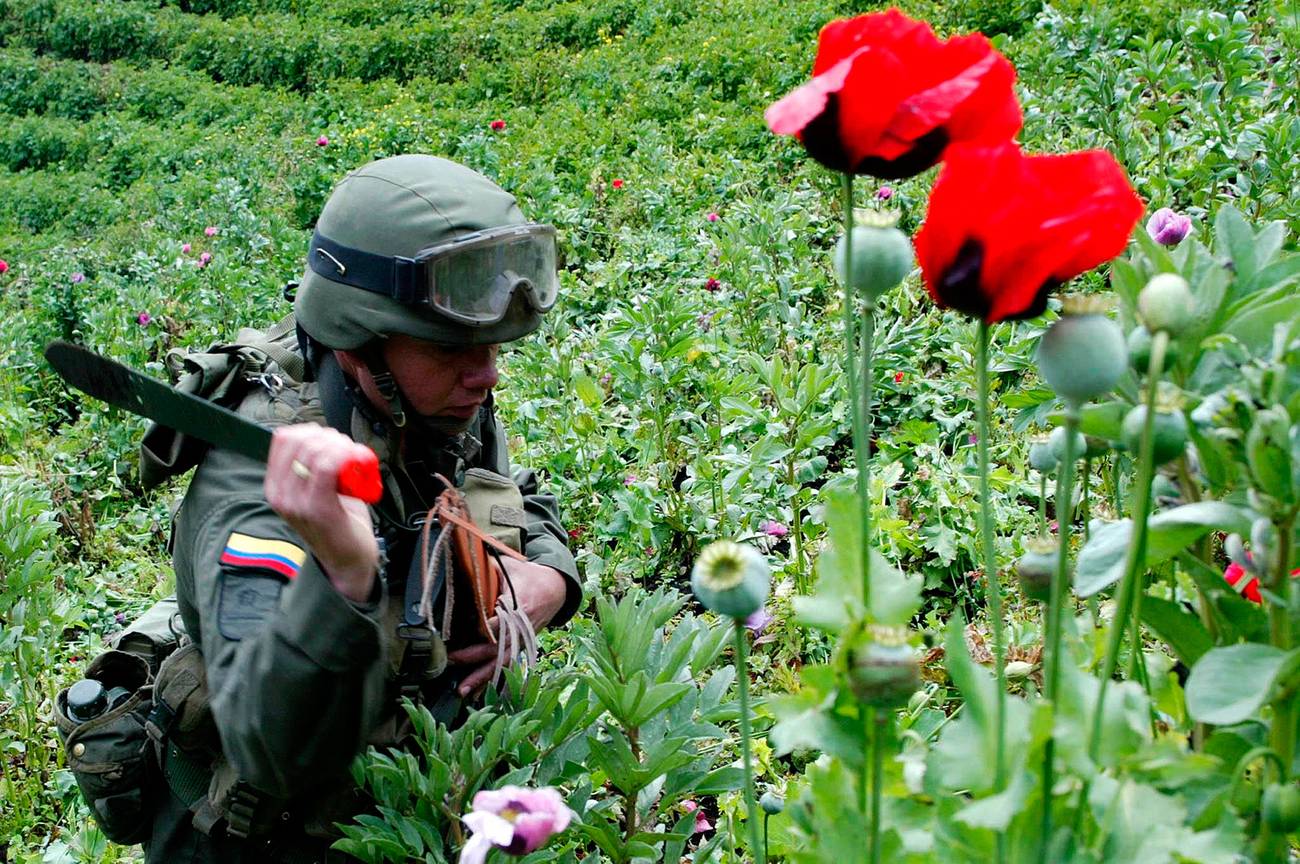 Política de drogas en América Latina: obstáculos y próximos pasos