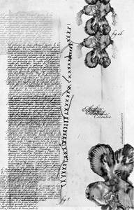 © Nueva Sociedad / Rodez 2011