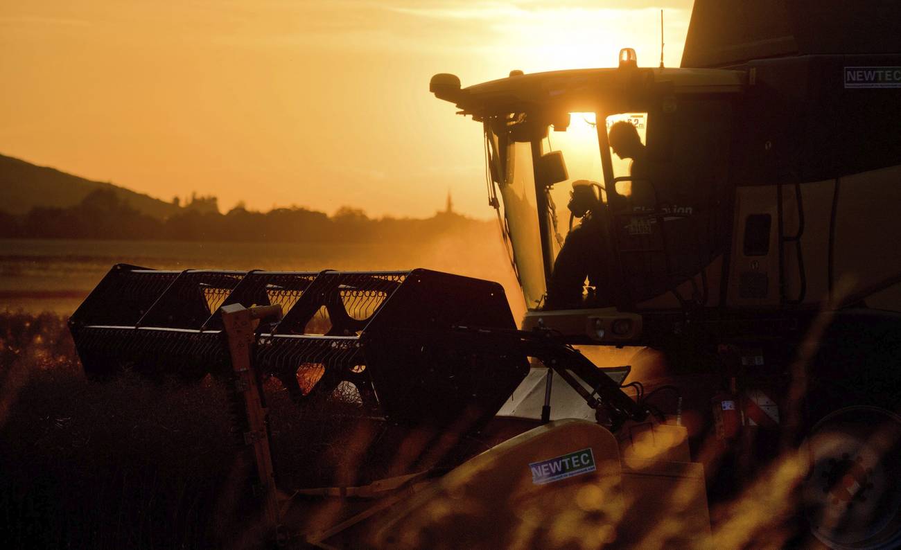 <p>Edición genética y robo de semillas</p>