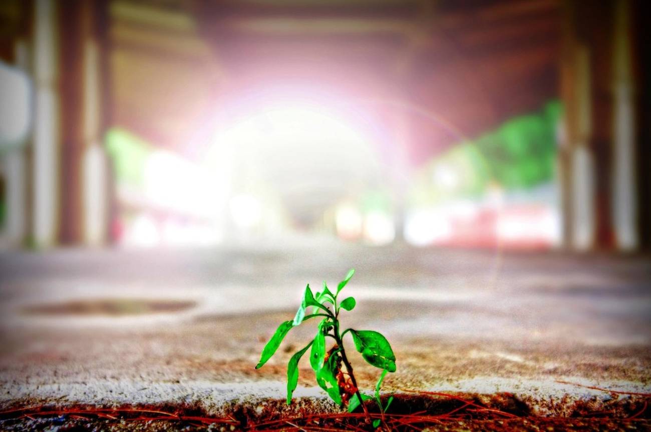 <p>La izquierda ante la crisis del neoliberalismo</p>