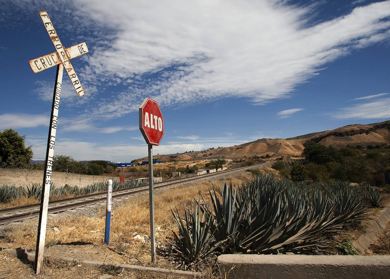 La digitalización del campo en América Latina. ¿Para qué sirve internet en el mundo rural?  Entrevista a Francine Brossard Leiva 