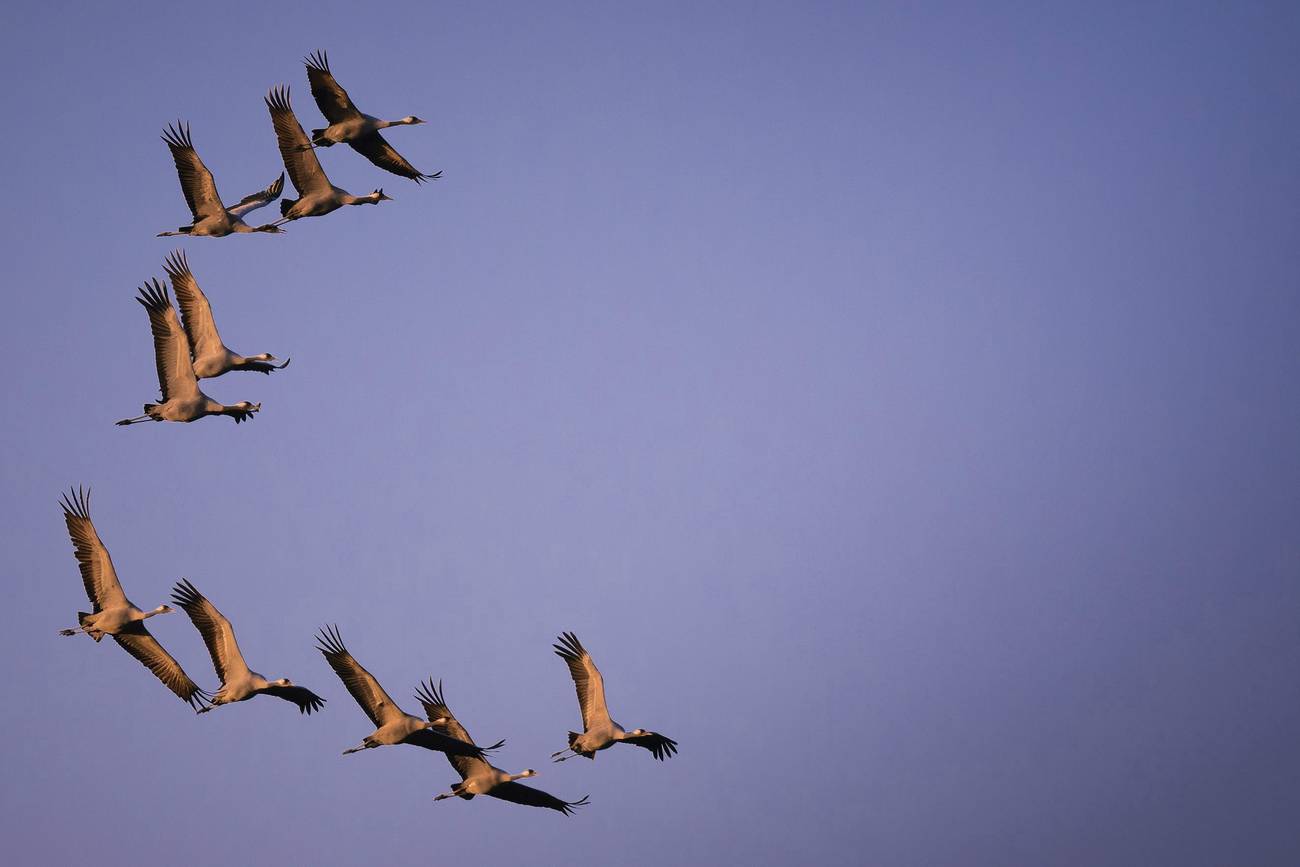 Un silencio culpable