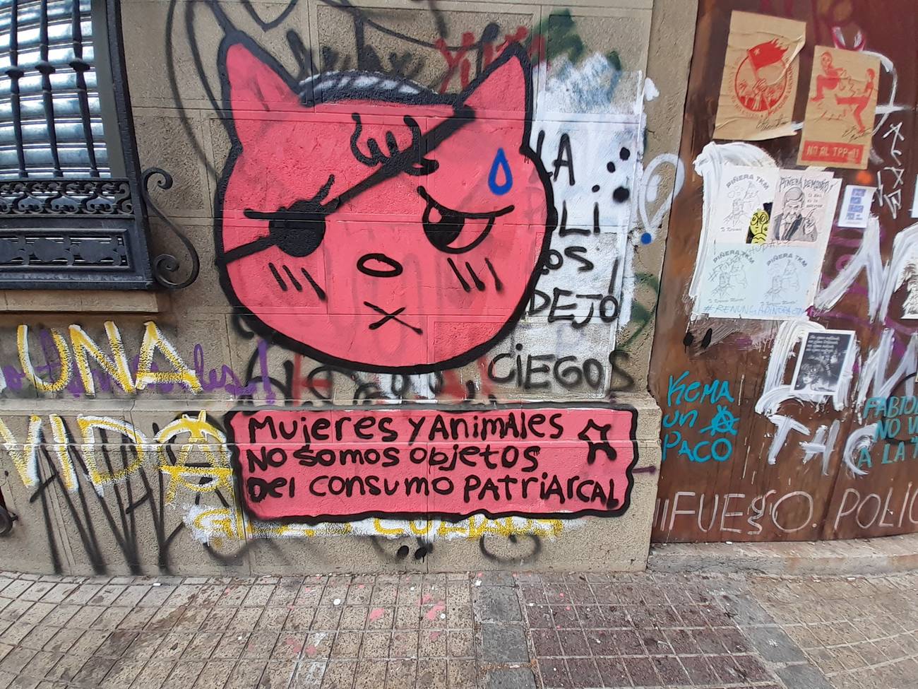 Ética animal y feminismo: hacia una cultura de paz