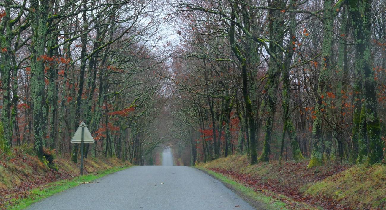 ¿Países poderosos o influyentes?  Reconfiguraciones globales en el siglo XXI