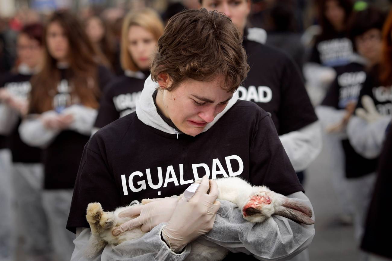 América Latina: movimiento animalista y luchas contra el especismo