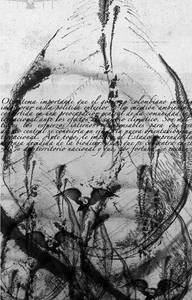 © Nueva Sociedad / Rodez 2011