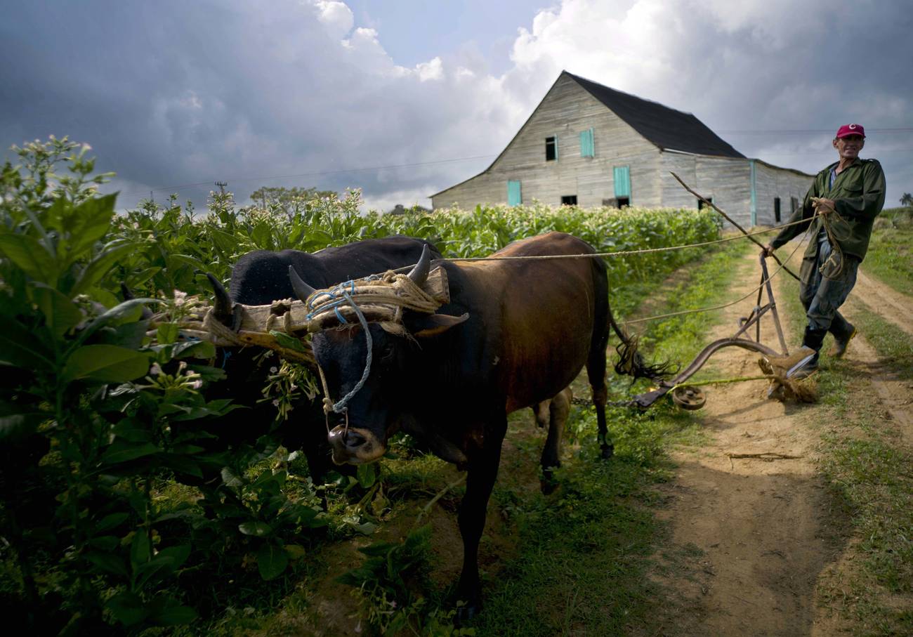 La transformación social-ecológica de América Latina  Una utopía moderna