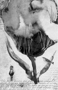 © Nueva Sociedad / Rodez 2011