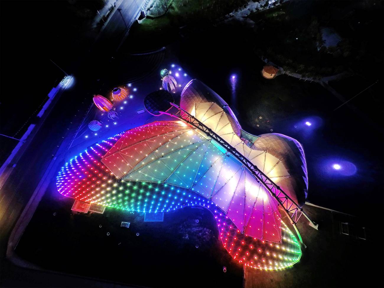 Animalismo e inteligencia artificial  ¿Dónde quedamos los humanos?