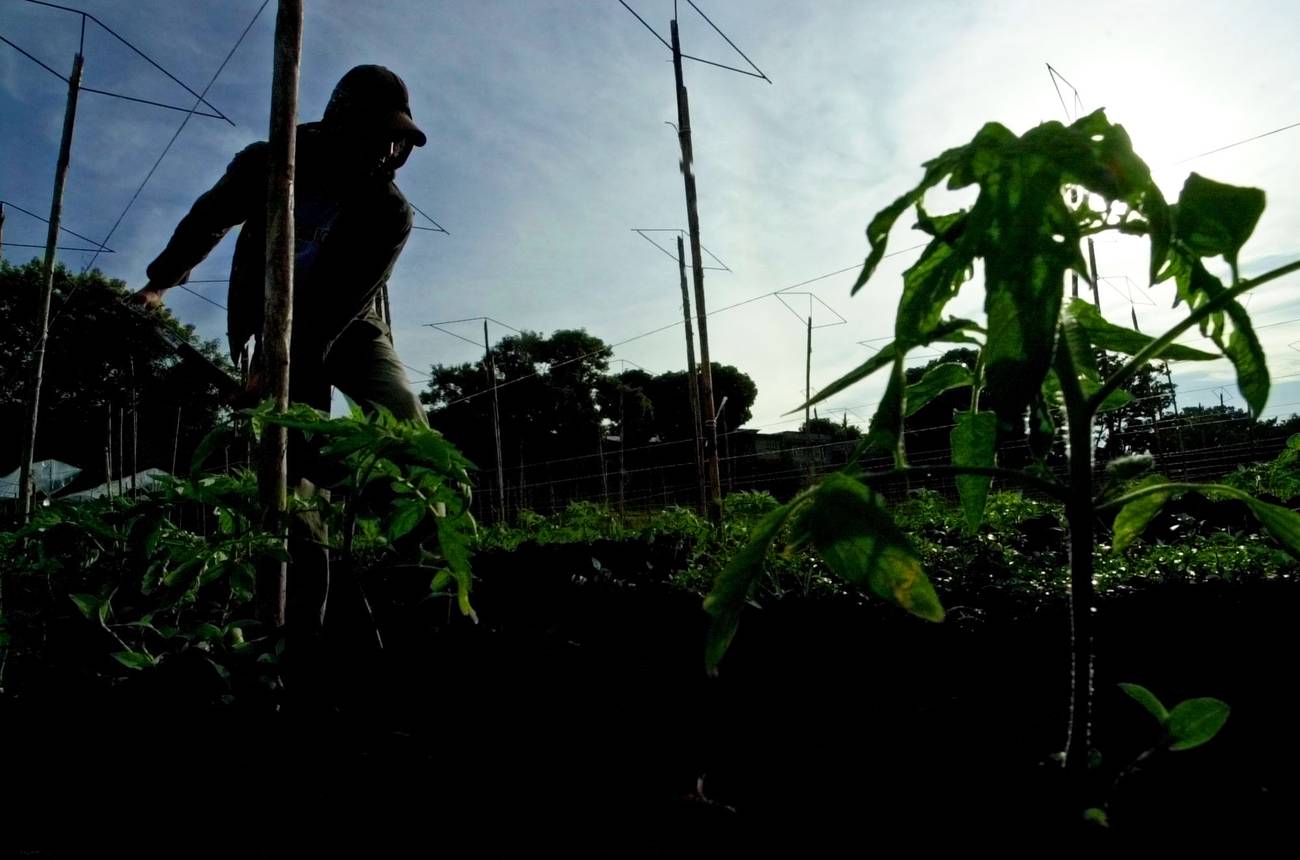 Elites alteradas en Costa Rica