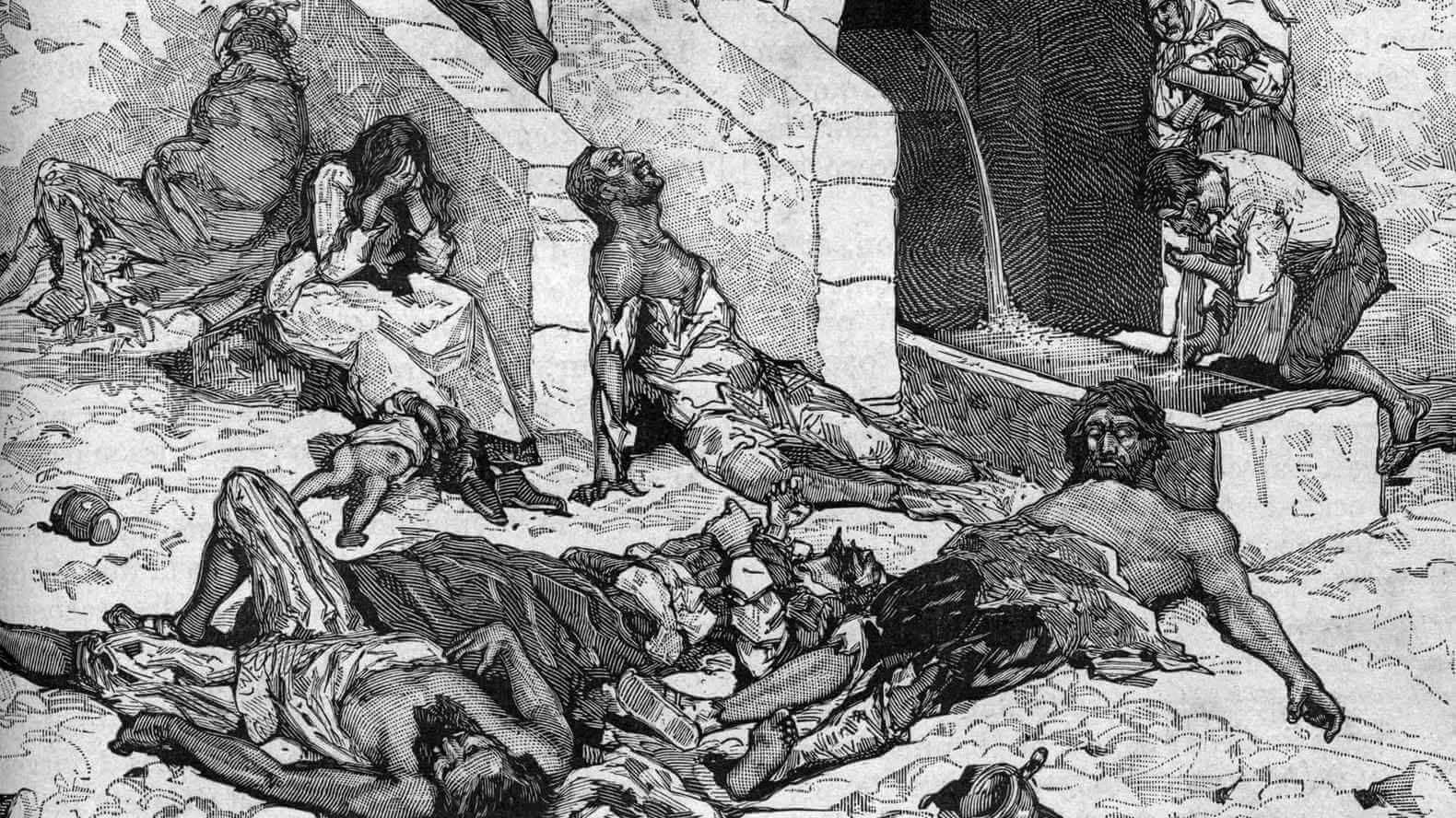 Diario del año de la pandemia
