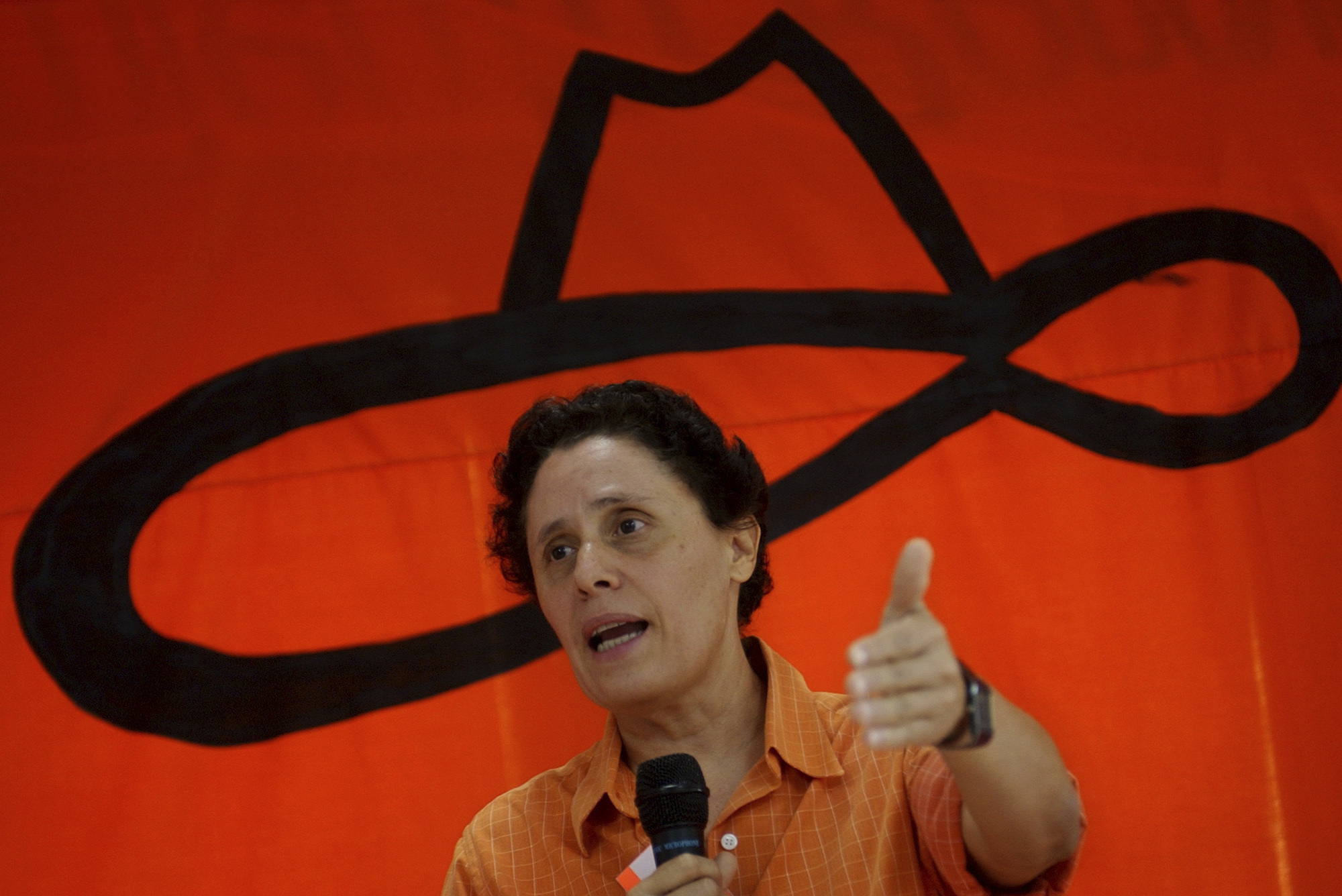 <p>Memoria, revolución y democracia</p>