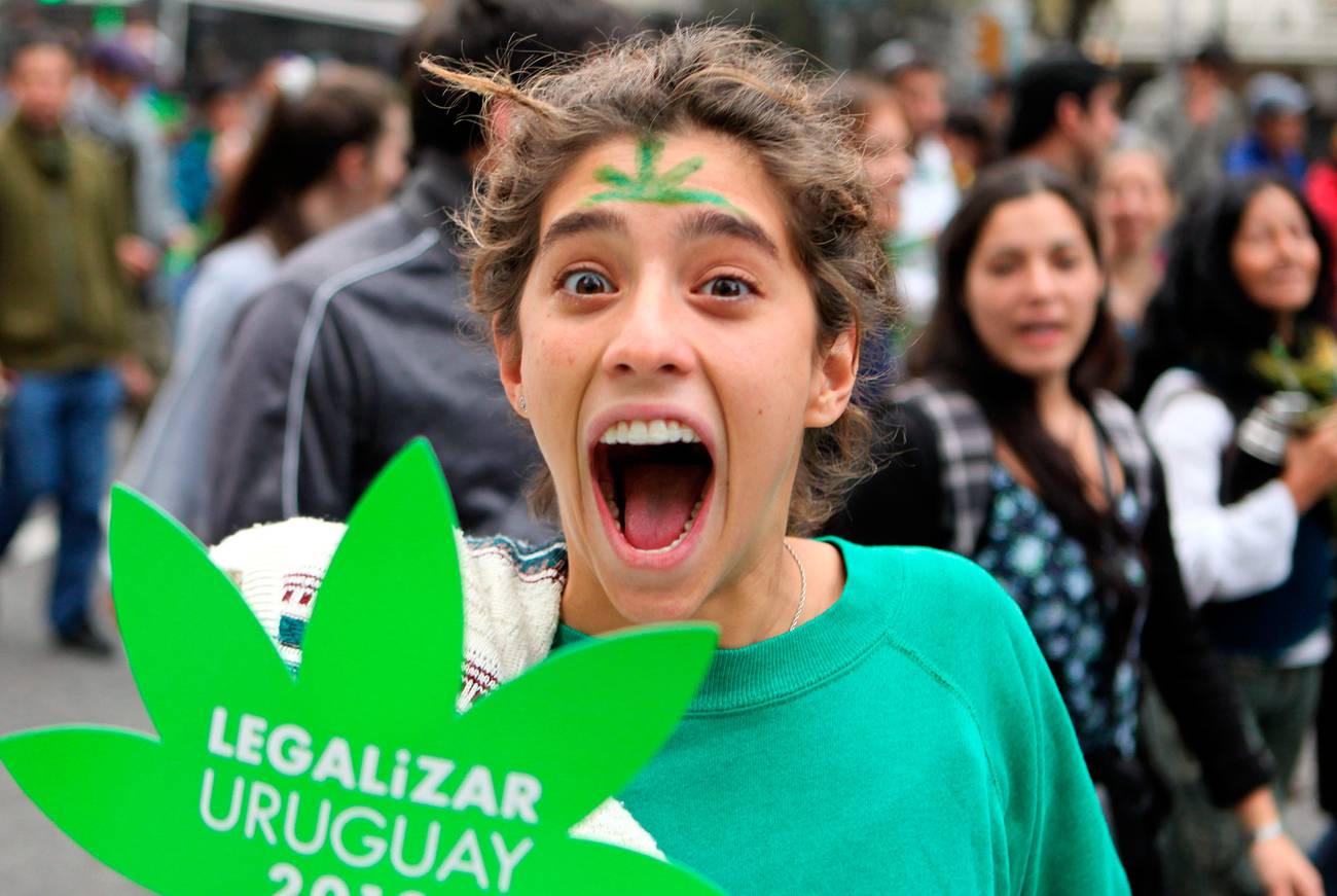 «Alguien tiene que ser el primero». La iniciativa uruguaya sobre el cannabis: ¿un modelo regional?