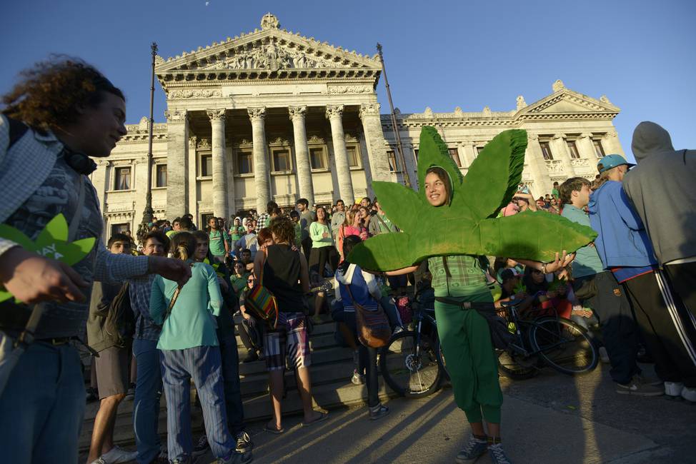 Bastante más que algo La continuidad del debate sobre la marihuana en Uruguay