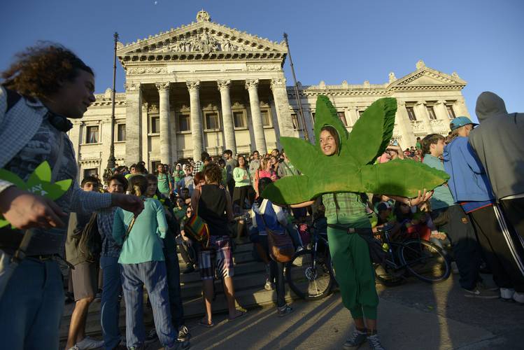 <p>Bastante más que algo</p>  La continuidad del debate sobre la marihuana en Uruguay