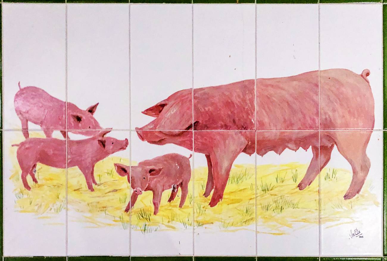 Sistema de cerdos Un llamamiento a la alimentación sin carnes | Nueva  Sociedad