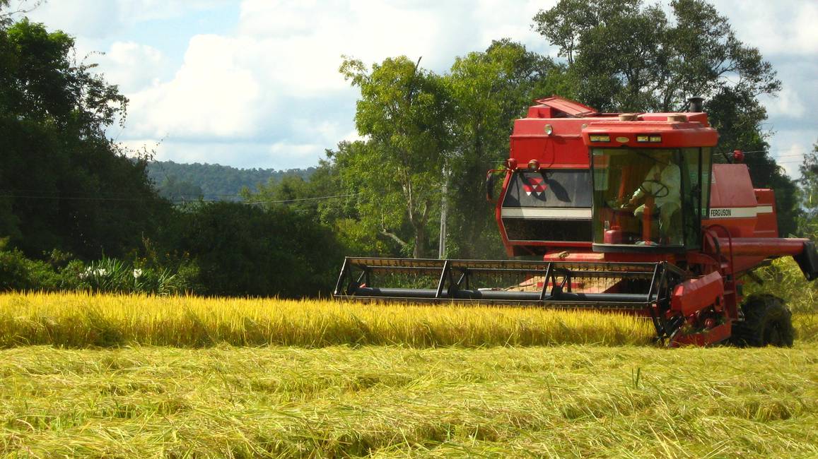 El desafío de la transformación social-ecológica en América Latina Entrevista a Álvaro Cálix