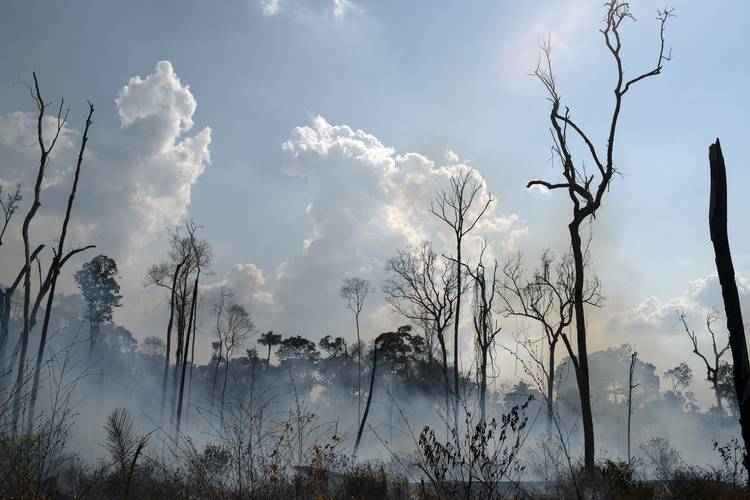El fuego de la Amazonía y el fuego de Bolsonaro  Entrevista a Josep Pont Vidal