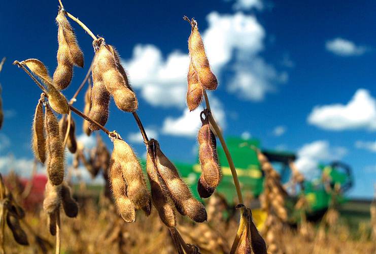 Comida no... biomasa  Cambios agronómicos, ambientales y económicos en la agricultura argentina y sudamericana