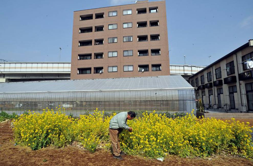 Perspectiva | La ciudad productiva: el gran momento de la agricultura urbana | Marzo 2016