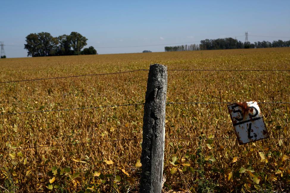 Discutir el «campo» Una grieta en el suelo latinoamericano