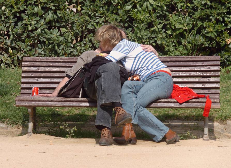 La construcción de la «buena sociedad» Un desarrollo con compromiso socialdemócrata